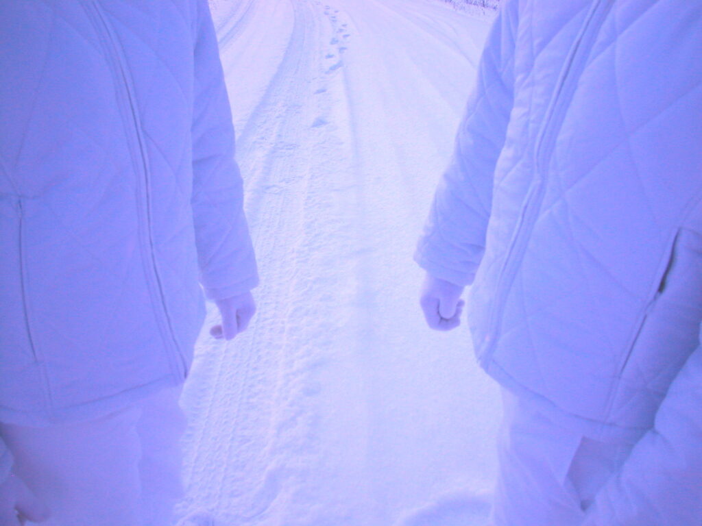 dawn@dawnbennett.net